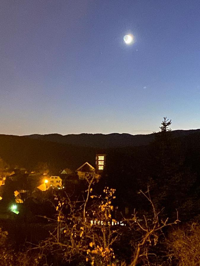 Le Moonloft insolite Tiny-House dans les arbres&1 séance de sauna pour 2 avec vue panoramique Osenbach Exterior foto